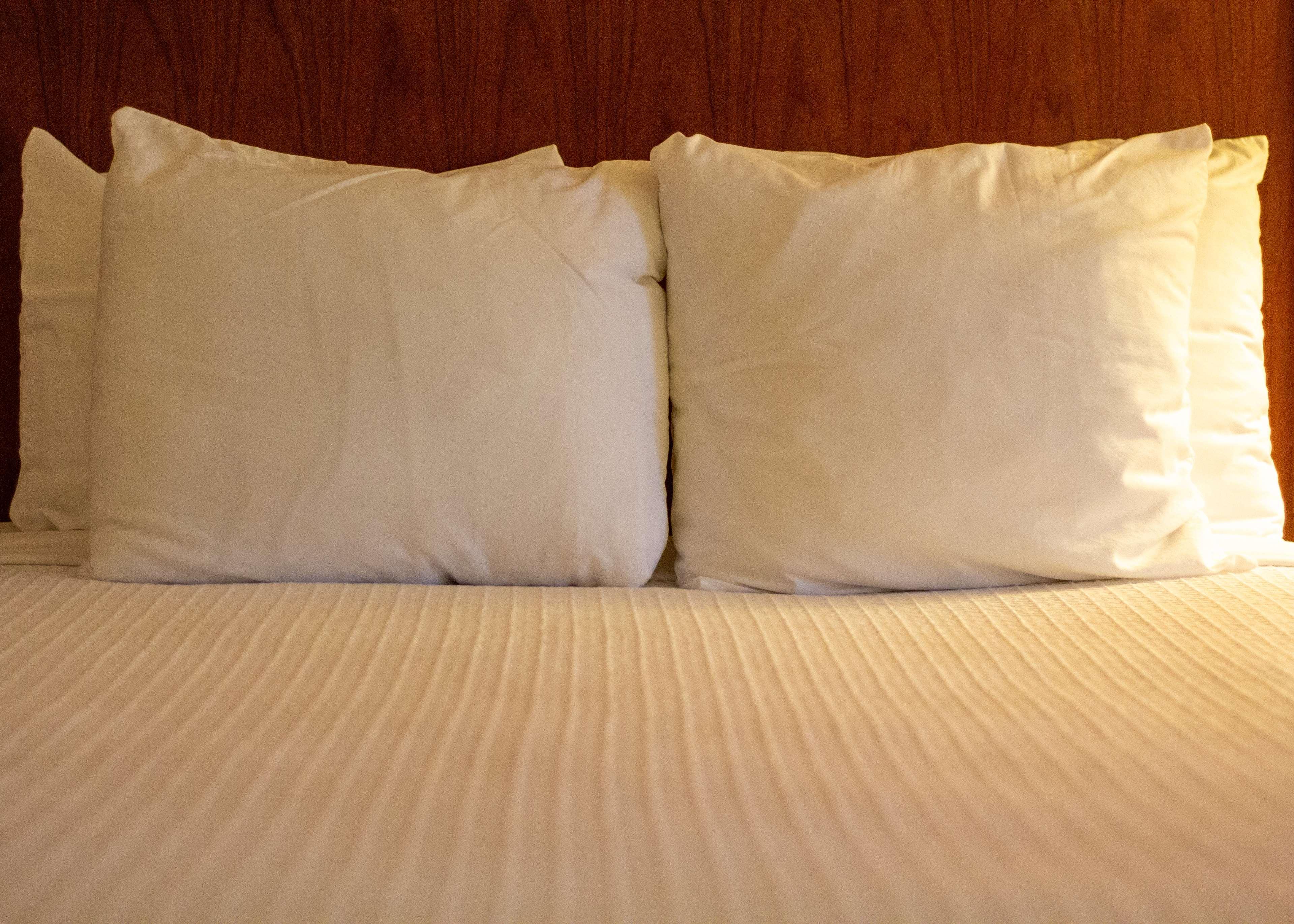 Best Western Plus A Wayfarer'S Inn & Suites Kingman Dış mekan fotoğraf